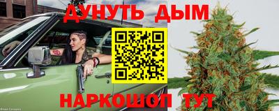 стаф Будённовск