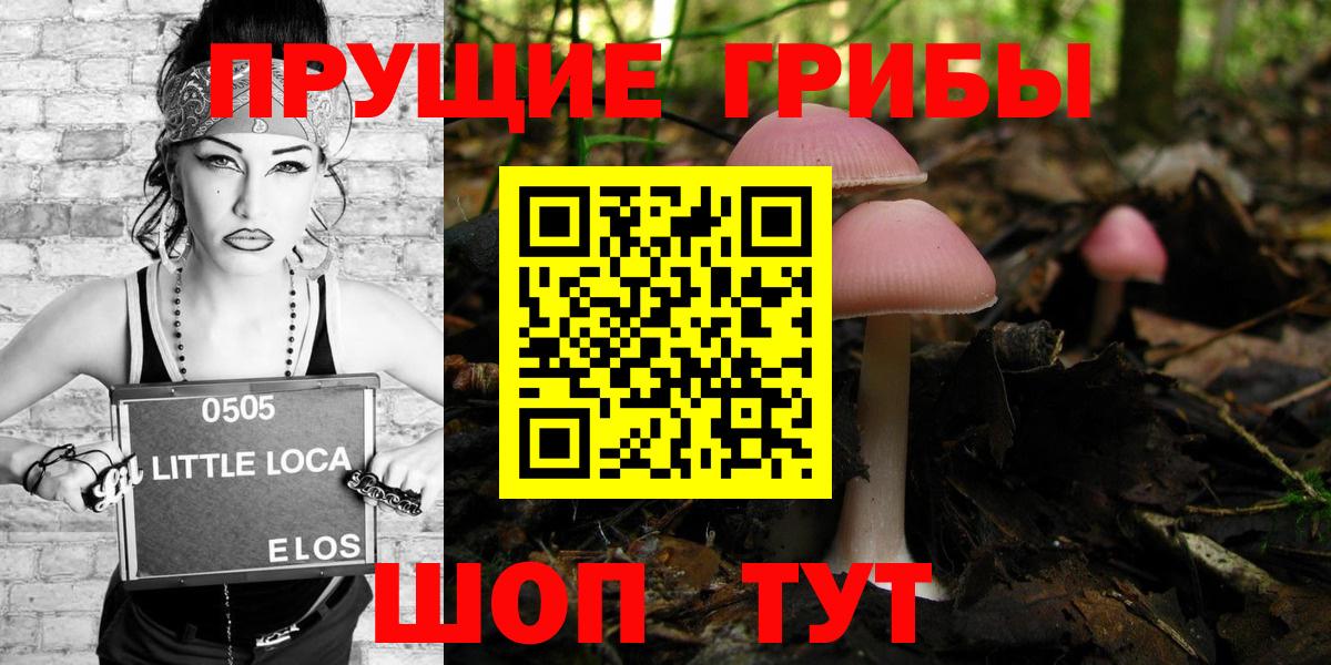 Стерлитамак  где найти наркотики  Вход с VPN  Галлюциногенные грибы GOLDEN TEACHER 